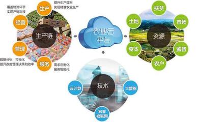 他山之石可以攻玉 借鑒美國農業信息化經驗，以信息技術咨詢服務升級中國農民